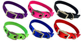 Acto Nylon Collar Colours Clarke Mckenzie Saddlery