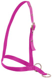 Flair leading Calf Halter