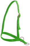 Flair Leading style Calf Halter Neon Green Clarke McKenzie Saddlery