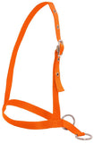 Flair Leading style Calf Halter Orange Clarke McKenzie Saddlery