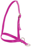 Flair Leading style Calf Halter Pink Clarke McKenzie Saddlery