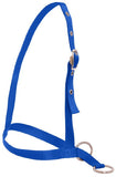 Flair Leading style Calf Halter Royal Blue Clarke McKenzie Saddlery