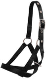 Flair Tethering Calf Halter Black