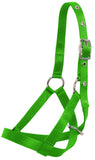 Flair Tethering Calf Halter Neon Green