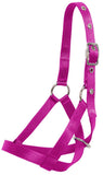 Flair Tethering Calf Halter Neon Pink