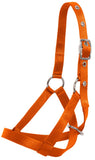 Flair Tethering Calf Halter Orange