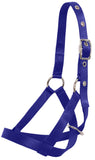 Flair Tethering Calf Halter Purple