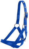 Flair Tethering Calf Halter Royal Blue