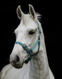 Flair Web Halter Turquoise Clarke McKenzie