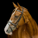 Platinum Flat Padded Hanoverian Bridle in brown with padded noseband on a chestnut horse | Clarke McKenzie Saddlery