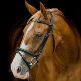 Platinum Shaped Raised Padded Bridle in black with contoured browband on a chestnut horse | Clarke McKenzie Saddlery