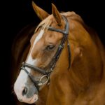 Platinum Shaped Raised Padded Bridle in brown with contoured browband on a chestnut horse | Clarke McKenzie Saddlery