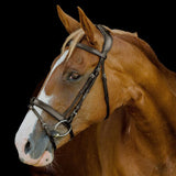 Platinum Signature Classic Bridle in brown on a chestnut horse | Clarke McKenzie Saddlery