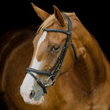Platinum Signature Elegance Bridle in black with padded browband on a chestnut horse | Clarke McKenzie Saddlery