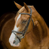 Platinum Signature Elegance Bridle in brown with padded browband on a chestnut horse | Clarke McKenzie Saddlery