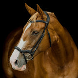 Platinum Signature Pressure Relief Bridle in black with padded headpiece on a chestnut horse | Clarke McKenzie Saddlery