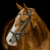 Platinum Signature Pressure Relief Bridle in brown with padded headpiece on a chestnut horse | Clarke McKenzie Saddlery