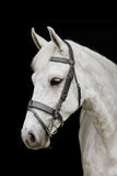 Platinum Wide Padded Hunt Bridle in black with wide padded browband on a grey horse | Clarke McKenzie Saddlery