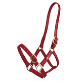 Zilco 25mm PN Halter Burgundy Clarke McKenzie Saddlery