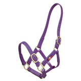 Zilco 25mm PN Halter Purple Clarke McKenzie Saddlery