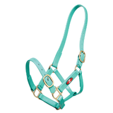 Zilco 25mm PN Halter Turquoise Clarke McKenzie Saddlery