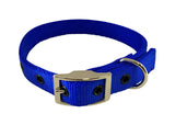 Acto Nylon Dog Collar Blue Clarke McKenzie Saddlery