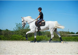 Back on Track Dressage Exercise Boots Horse Clarke McKenzie Saddlery