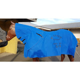 Clarke Mckenzie Canvas Horse Rug Blue