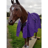 Clarke Mckenzie Canvas Horse Rug Purple