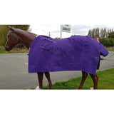 Clarke Mckenzie Canvas Horse Rug Purple