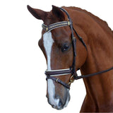 Collegiate Padded Crank Hanoverian Bridle in black with decorative silver chain browband on a chestnut horse | Clarke McKenzie Saddlery
