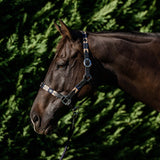 Double Hill Leather Polo Halter Navy Clarke McKenzie Saddlery