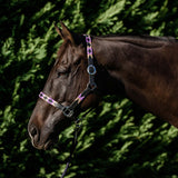 Double Hill Leather Polo Halter Purple Clarke McKenzie Saddlery