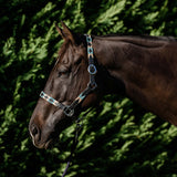 Double Hill Leather Polo Halter Turquoise Clarke McKenzie Saddlery