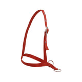 Flair Leading style Calf Halter Red Clarke McKenzie Saddlery