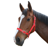 Flair Webbing Halter Red Carke McKenzie
