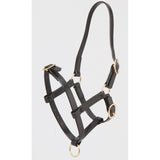 Foal Halter