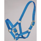 Foal Halter Blue Clarke McKenzie Saddlery