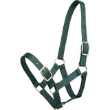 Foal Halter Green Clarke McKenzie Saddlery