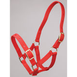 Foal Halter Red Clarke McKenzie Saddlery