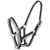 Sparkle Foal Halter