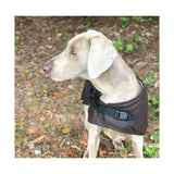 Clancy Oilskin Dog Coat — front view on large dog | Clarke McKenzie Saddlery