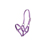 Small Pony Halter Purple Clarke McKenzie Saddlery