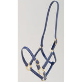 Zilco 19mm PN Halter Blue Clarke McKenzie Saddlery
