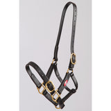 Zilco 25mm PN Halter