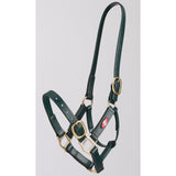 Zilco 25mm PN Halter Green Clarke McKenzie Saddlery