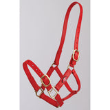 Zilco 25mm PN Halter Red Clarke McKenzie Saddlery
