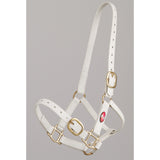 Zilco 25mm PN Halter White Clarke McKenzie Saddlery