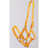 Zilco 25mm PN Halter Yellow Clarke McKenzie Saddlery