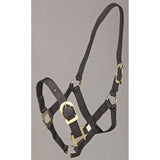 Zilco PP Halter Black